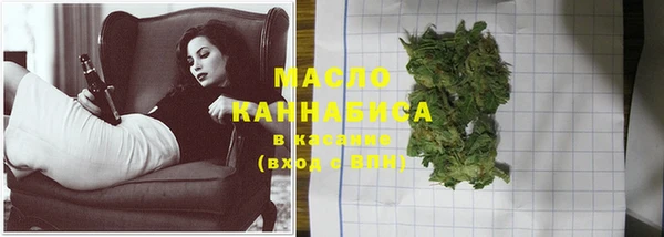 гидра Шарыпово
