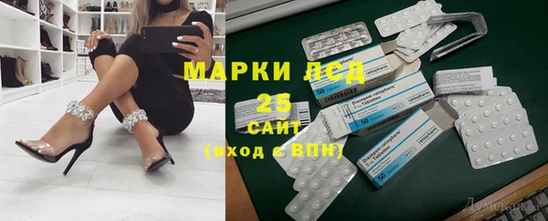 гидра Шарыпово